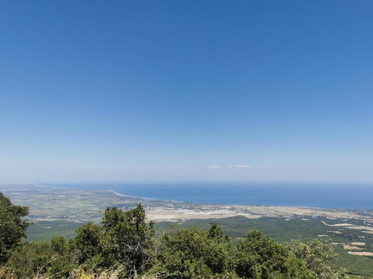 Villa Olympia Paralía Екстериор снимка