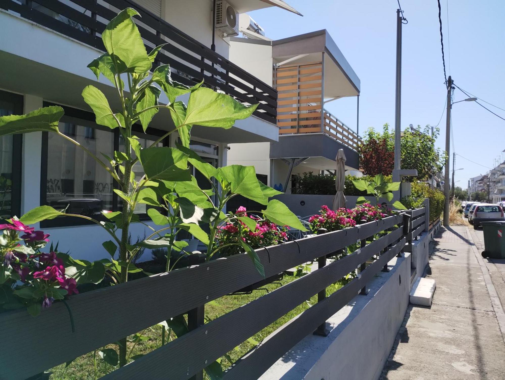 Villa Olympia Paralía Екстериор снимка